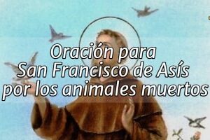 Oración para San Francisco de Asís para los Animales Muertos